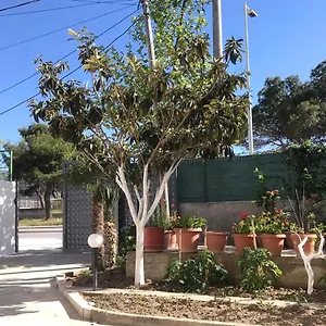 Colombo Vlorë